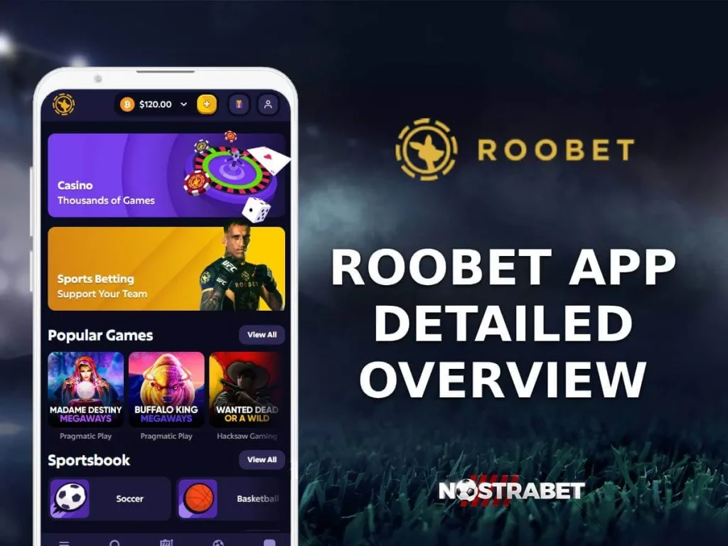 Mobile Compatibility of Roobet